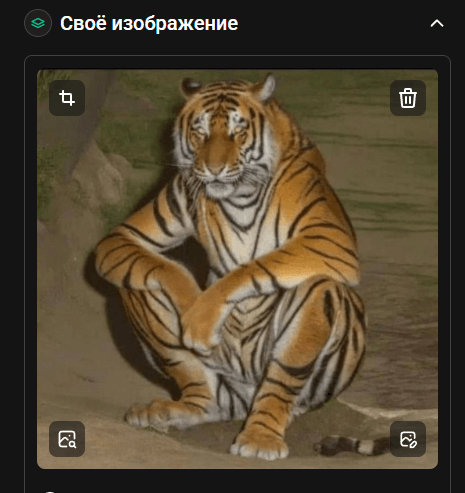 Image crop tool
